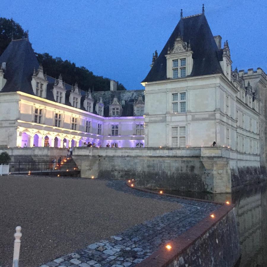 Chambre D'Hotes La Membrolle-sur-Choisille Exterior foto